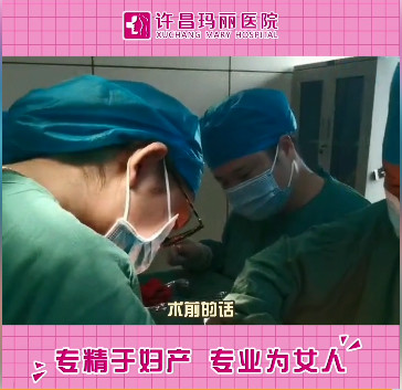 许昌玛丽医院成功实施一例大型子宫肌瘤剔除手术